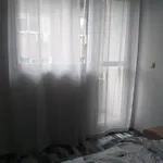 термите *