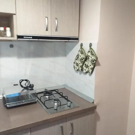 Daire термите